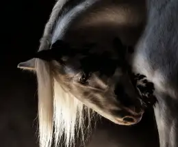 مأساة ..حسن لختام ق ق ج..!!