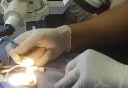 متابعةً لأعمال المؤتمر الطبي الأوروبي العربي الأول في سورية