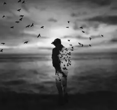 يا نخل عمري!! ظلال الفرج